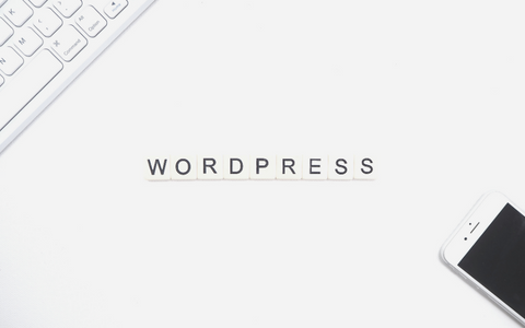WordPress web sajt